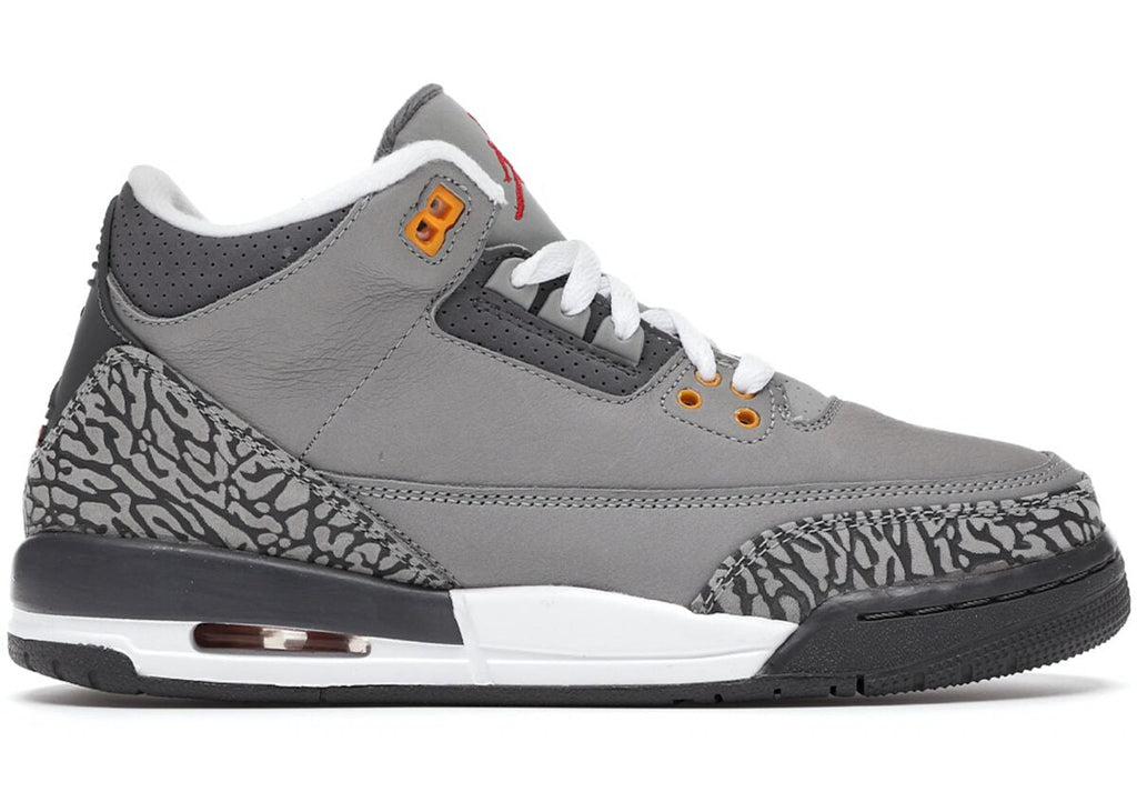 Jordan 3 Retro Cool Grey 2021 Sneakers - Authentic | Designer Kicks